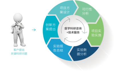 科研咨詢與技術(shù)服務(wù) 構(gòu)建創(chuàng)新生態(tài)的關(guān)鍵雙翼